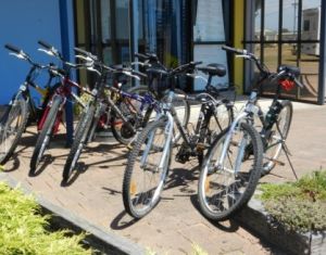 George Town to Low Head Walking and Cycling Trail - Accommodation Rockhampton