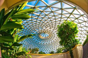 Brisbane Botanic Gardens Mount Coot-tha - Accommodation Rockhampton