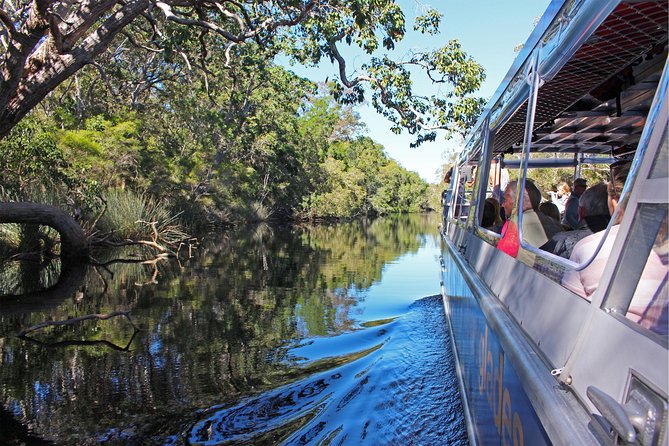 Serenity Cruise to Australia's Everglades - Accommodation Rockhampton